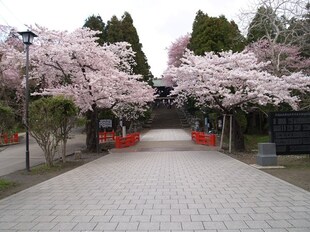 東照宮駅 徒歩8分 5階の物件内観写真